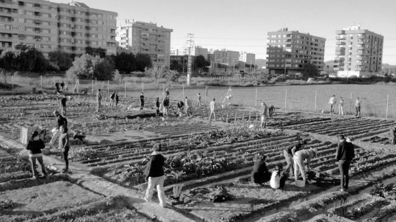 Huertos urbanos: conciencia ambiental y ciudades&nbsp;verdes